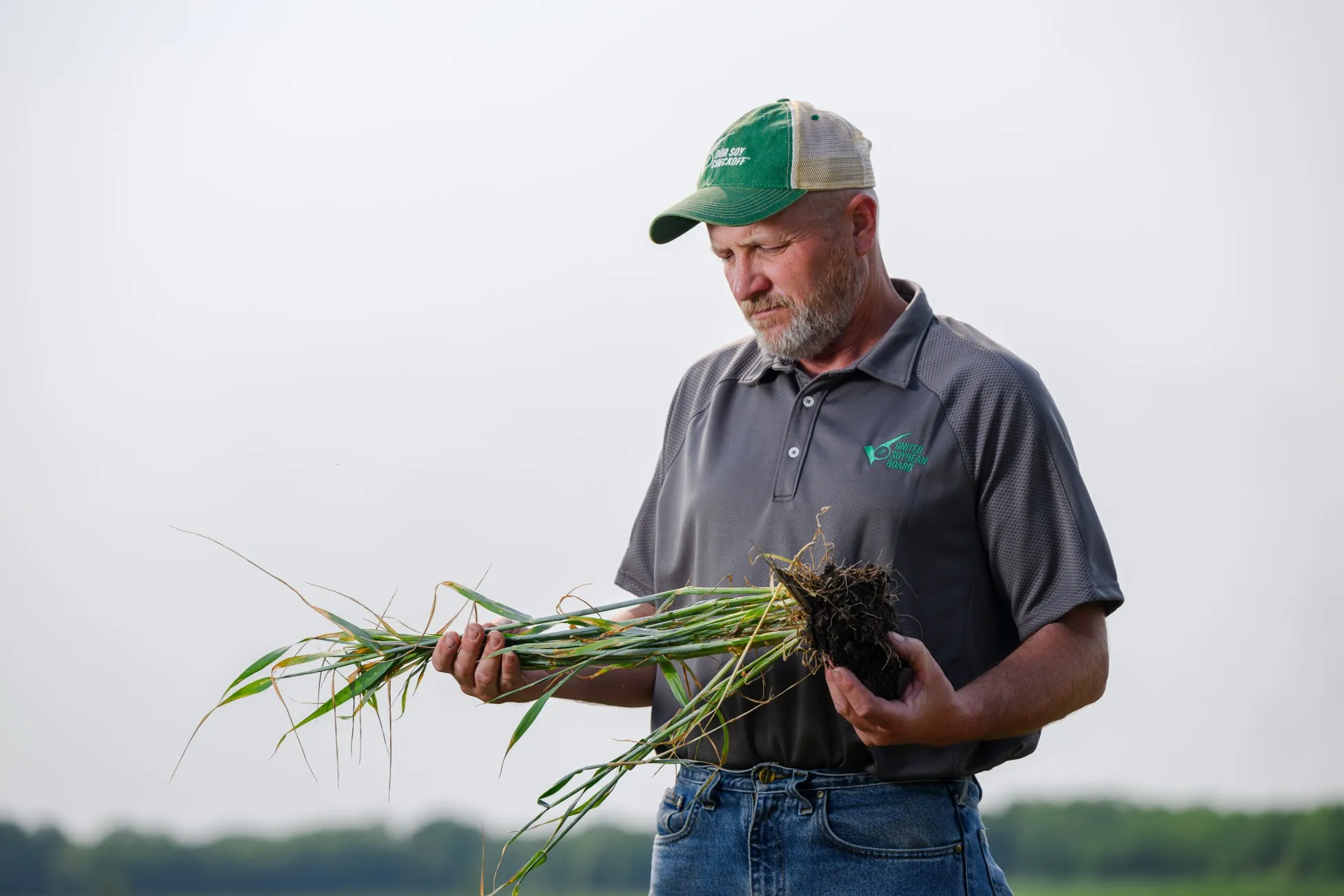 USB farmer leader David Wessel